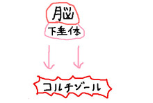 BlogPaint