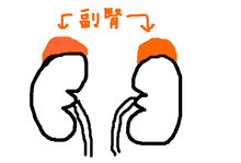 BlogPaint