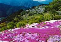 nagameru01_4