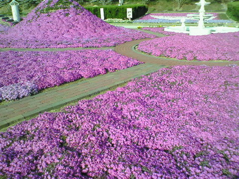 20110418221606