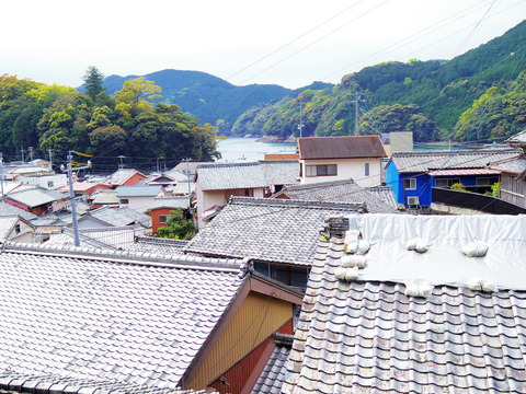 IMGP6713