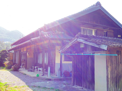 IMGP6385