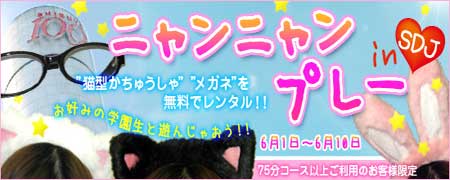 saiplan_1306323960000_nyanp