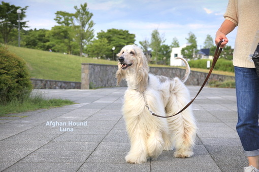 5公園