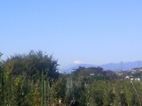 105f8287.jpg