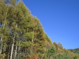 19f2df72.jpg