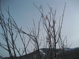 628e0796.jpg