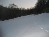66ddf276.jpg
