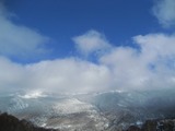 d3d51a98.jpg