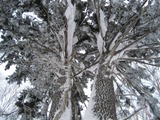 e74d2715.jpg