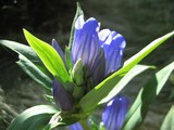 fb641067.jpg