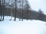 fe6c91e0.jpg