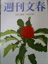 ʸ��