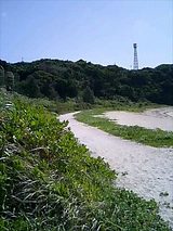 小沢
