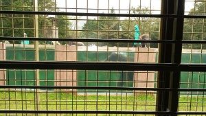 IMG_20180920_140041