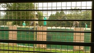 IMG_20180920_140049