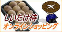 ����饤�󥷥�å�
