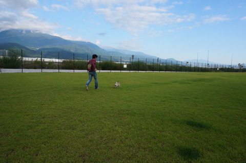 DSC03479