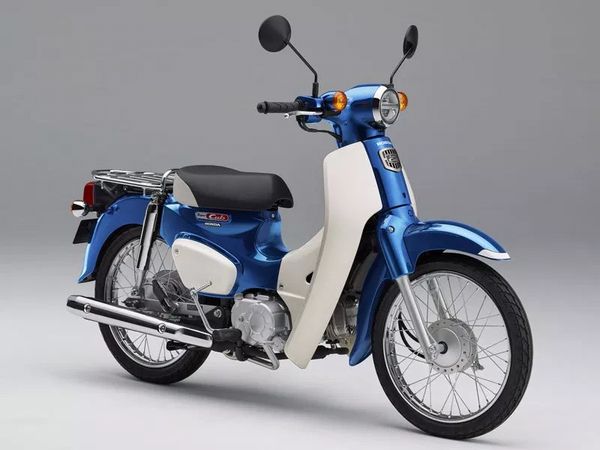 kabu2