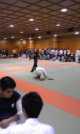 3e458525.jpg