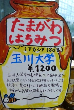 P1040928