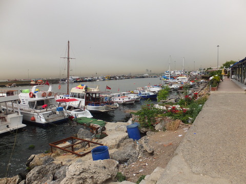DSCF2382