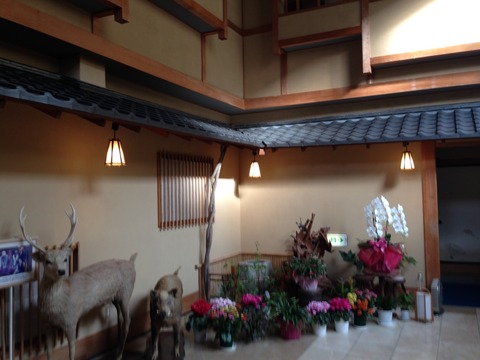 写真 2 (3)