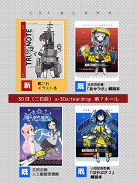 C91_sample