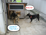BlogPaint