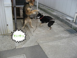 BlogPaint