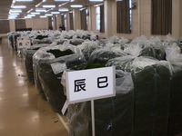 徳島青のり入札