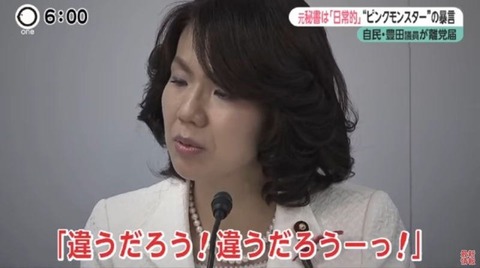 豊田真由子