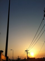 d0140b84.jpg