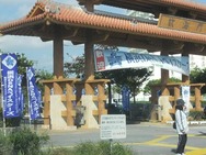 DSCN8942