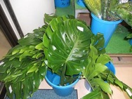 DSCN9047