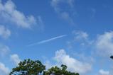 飛行機雲