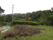 DSCN9048