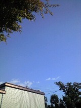 bd593d40.jpg