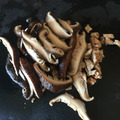 2016-08-06-10-41-06