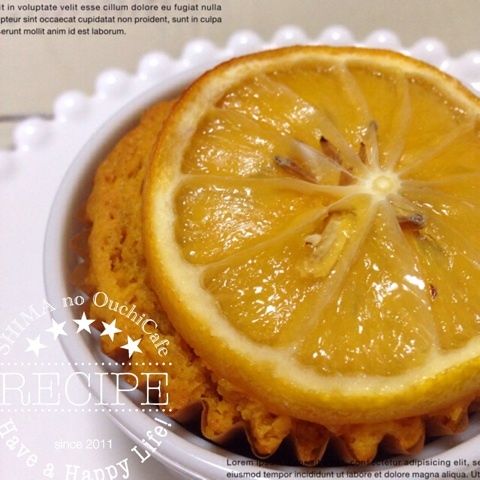 photo:01