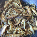 2016-08-06-10-54-45