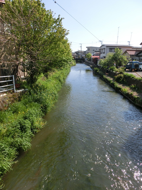 CIMG1244