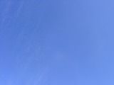 ��������ǯ