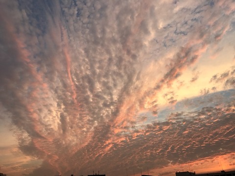 2017-06-22-19-16-32