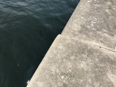 2017-06-10-10-59-04