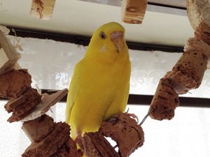 IMG_0070