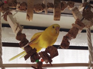 IMG_0073