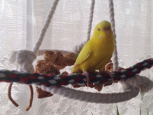 IMG_6174