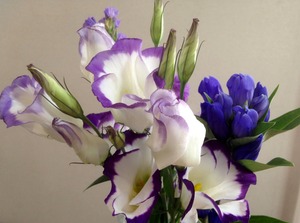 IMG_6310 (1)