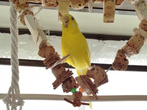 IMG_0064
